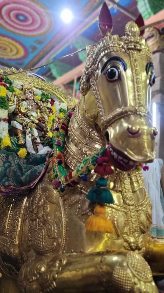 photo-story-19-january-2024